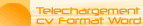 T&eacute;l&eacute;charger mon cv aux diff&eacute;rents formats.